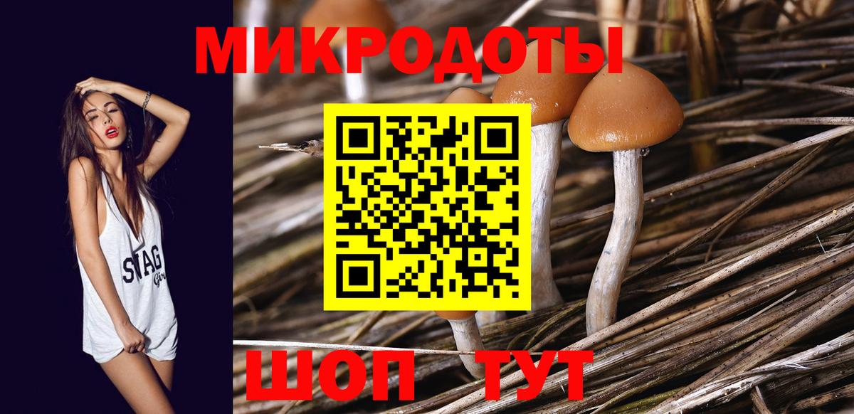 Псилоцибиновые грибы Psilocybe  Вход с VPN  Альметьевск  наркота  Псилоцибиновые грибы GOLDEN TEACHER 